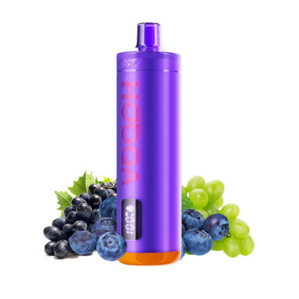 Vozol Star 12000P Watermelon Ice Disposable Vape