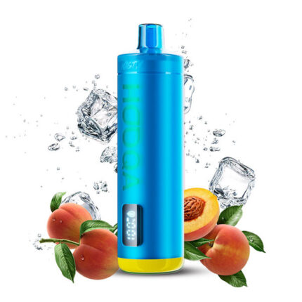 Nasty Hooqa 15K Puff Peach Ice Disposable Vape