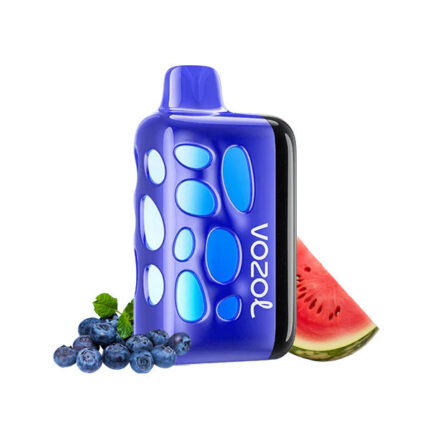 Vozol Rave 40000P Blueberry Watermelon