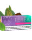 Terea Indonesia Purple Wave