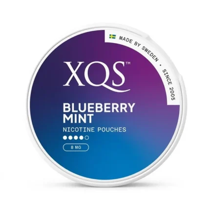 XQS Blueberry Mint Nicotine Pouches