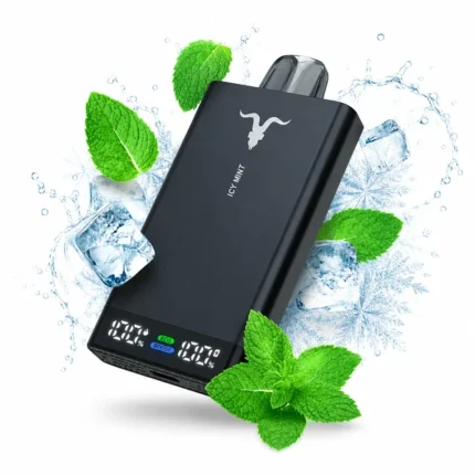 Buy IGNITE V250 25000 Puffs ICY Mint Disposable Vape In Dubai & UAE with 2 Hour Free Delivery